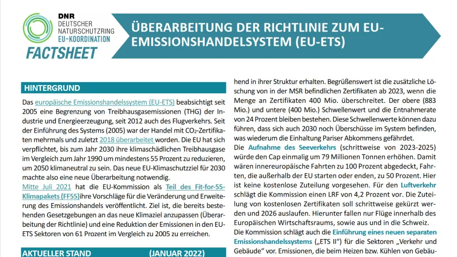 Factsheet Emissionshandel